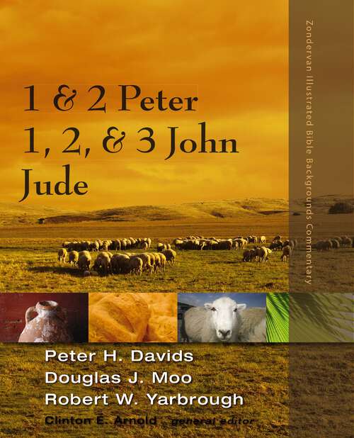 Book cover of 1 and 2 Peter, Jude, 1, 2, and 3 John (Zondervan Illustrated Bible Backgrounds Commentary)