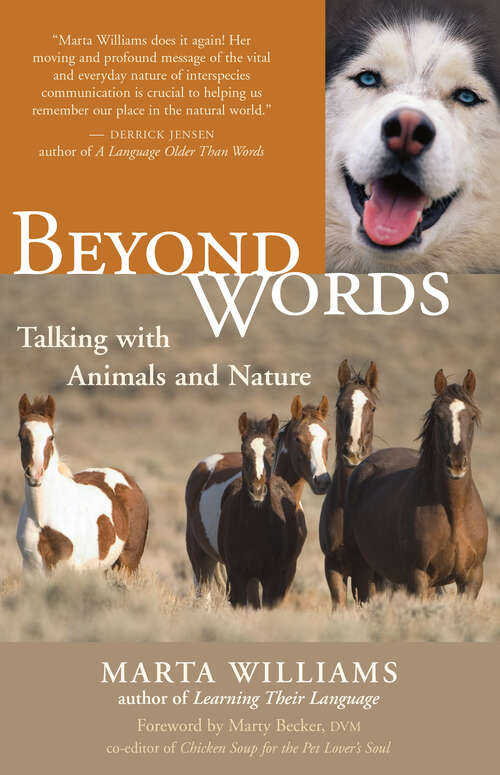 Book cover of Beyond Words: Talking with Animals and Nature