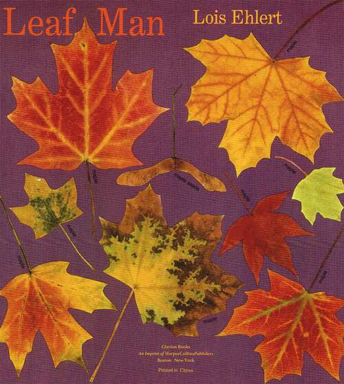 Book cover of Leaf Man