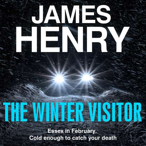Book cover of The Winter Visitor