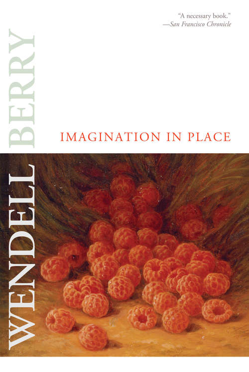 Book cover of Imagination in Place