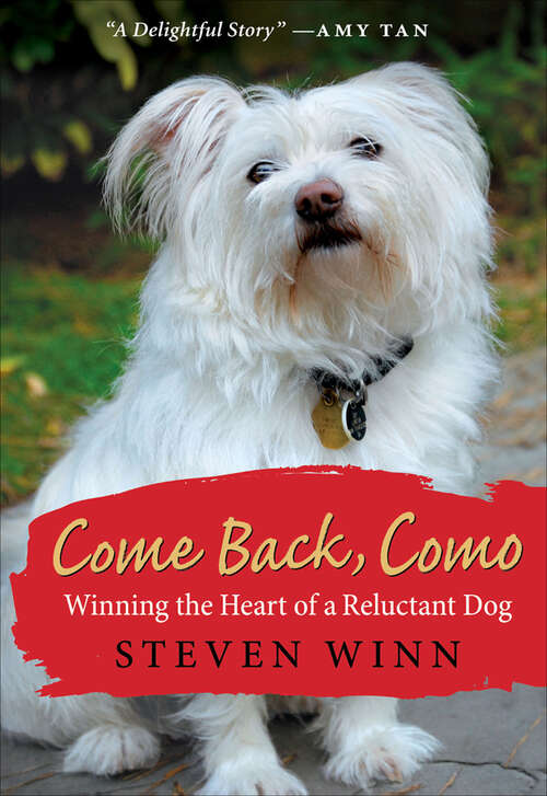 Book cover of Come Back, Como: Winning the Heart of a Reluctant Dog
