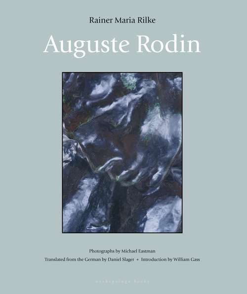 Book cover of Auguste Rodin (Lives Of The Artists Ser.)