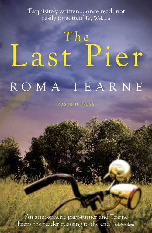 Book cover of The Last Pier