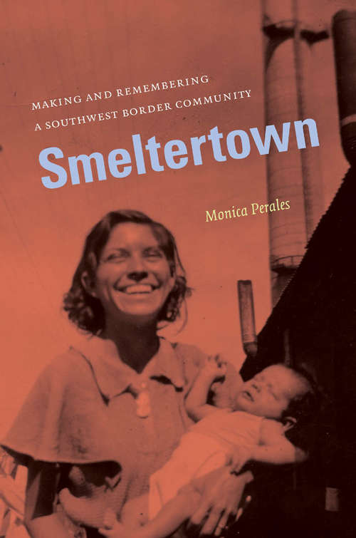 Book cover of Smeltertown