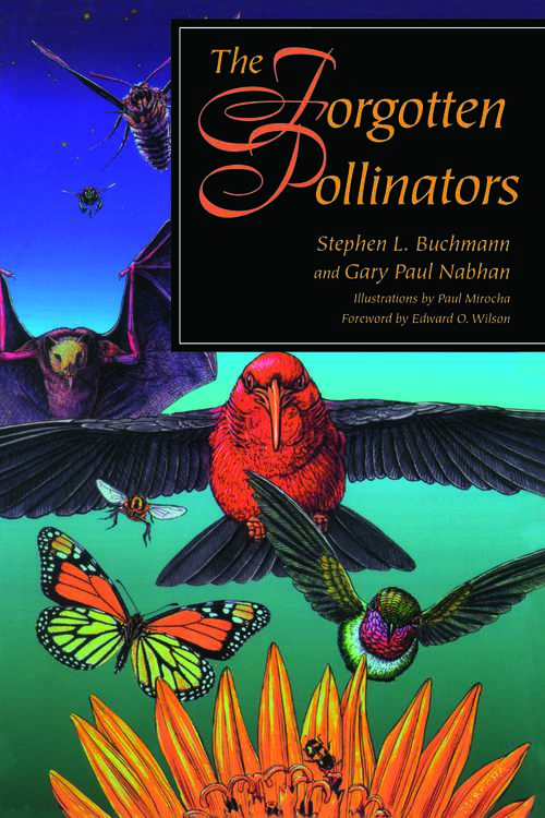 Book cover of The Forgotten Pollinators: Dynamics And Restoration Of Abandoned Farmland (2)