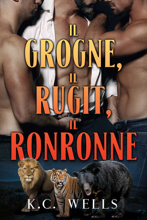 Book cover of Il grogne, il rugit, il ronronne (Lions, Tigres et Ours #1)