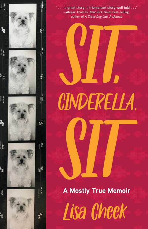 Book cover of Sit, Cinderella, Sit: A Mostly True Memoir