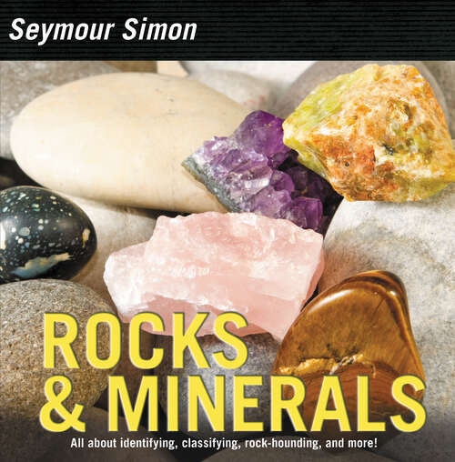 Book cover of Rocks & Minerals