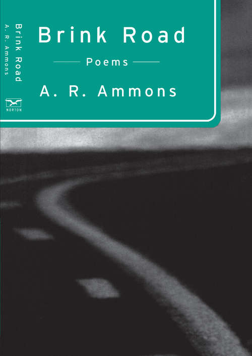 Book cover of Brink Road: Poems