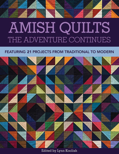 Book cover of Amish Quilts, The Adventure Continues: Featuring 21 Projects from Traditional to Modern