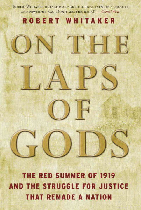 Book cover of On the Laps of Gods: The Red Summer of 1919 and the Struggle for Justice That Remade a Nation