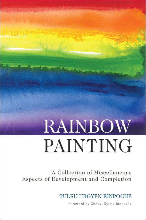 Book cover of Rainbow Painting: A Collection of Miscellaneous Aspects of Development and Completion