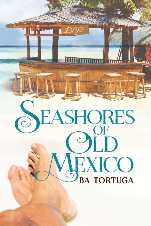 Book cover of Seashores of Old Mexico