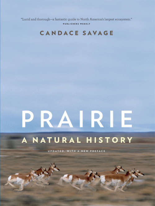 Book cover of Prairie