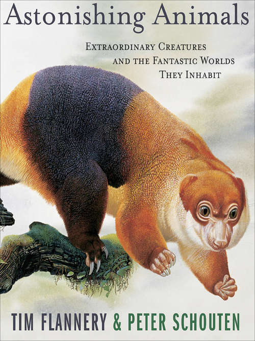 Book cover of Astonishing Animals: Extraordinary Creatures and the Fantastic Worlds They Inhabit