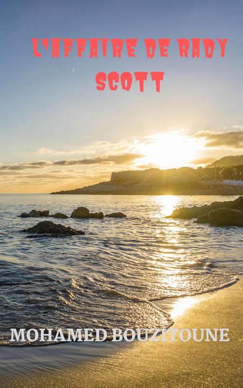 Book cover of L'affaire de Rady Scott