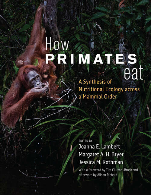 Book cover of How Primates Eat: A Synthesis of Nutritional Ecology across a Mammal Order