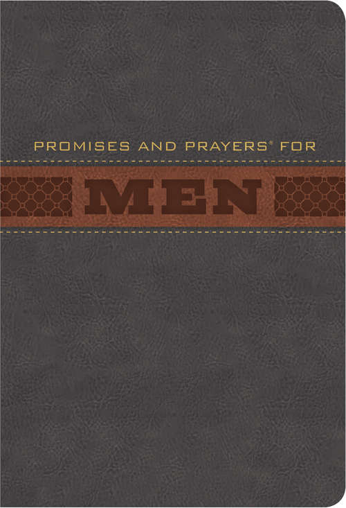 Book cover of Promises and Prayers For Men