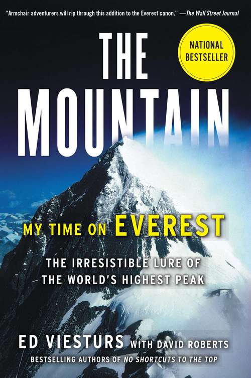 Book cover of The Mountain: My Time on Everest