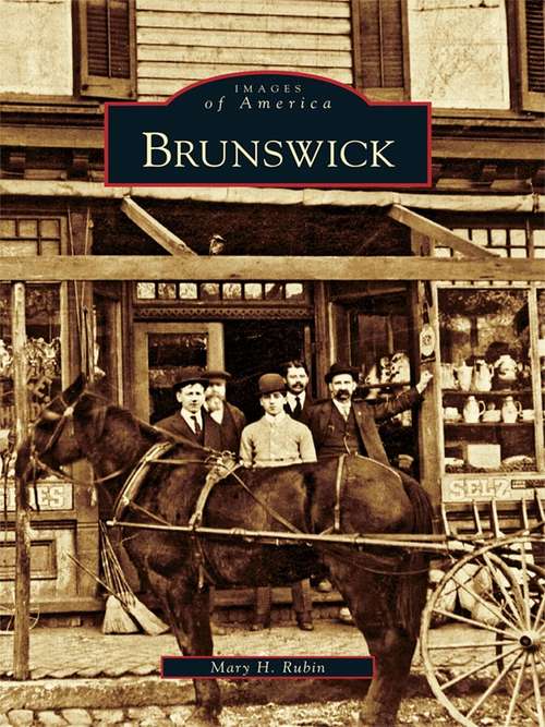 Book cover of Brunswick