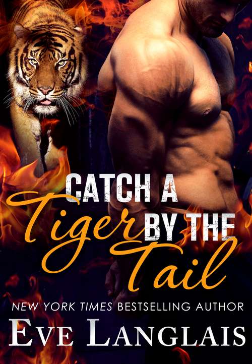 Book cover of Catch a Tiger by the Tail