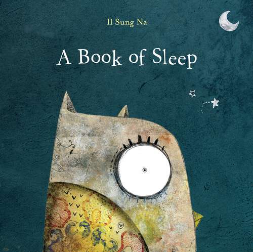 Book cover of A Book of Sleep
