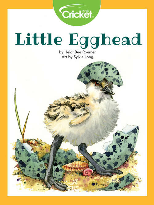 Book cover of Little Egghead