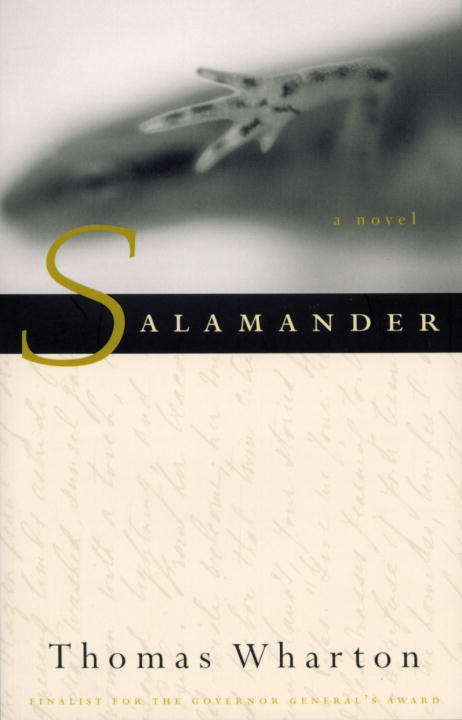 Book cover of Salamander