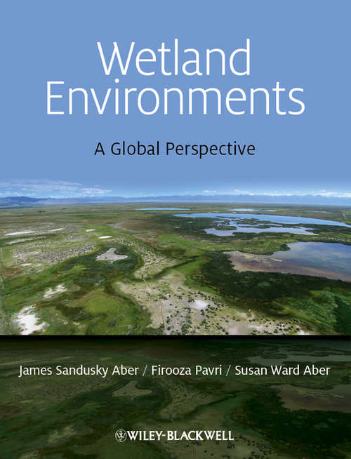Book cover of Wetland Environments: A Global Perspective