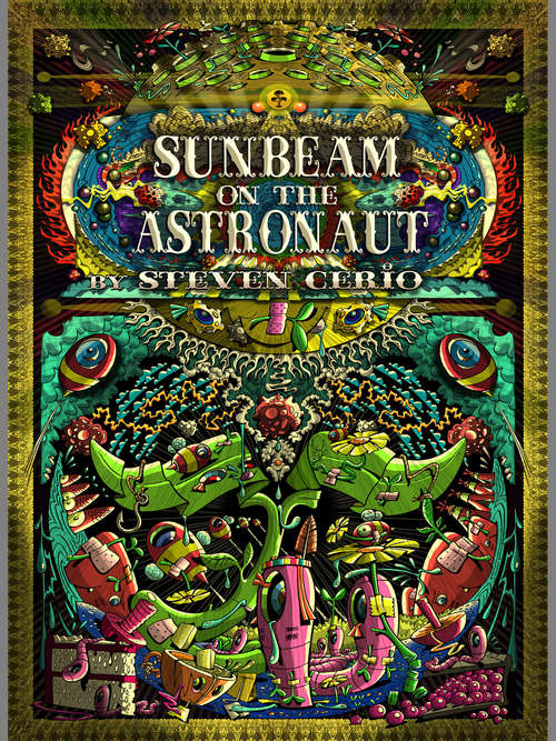 Book cover of Sunbeam on the Astronaut