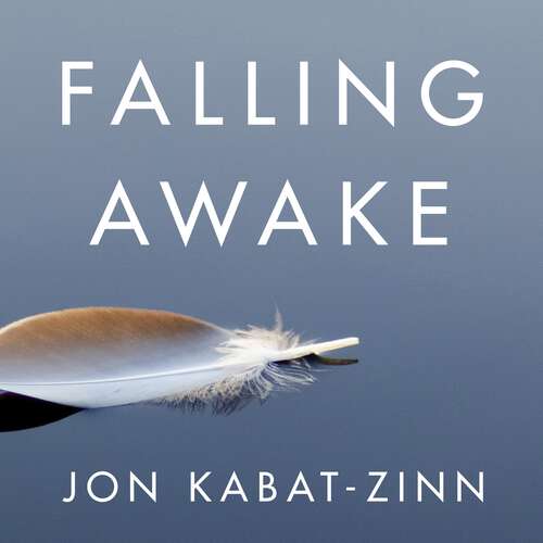 Book cover of Falling Awake: How to Practice Mindfulness in Everyday Life