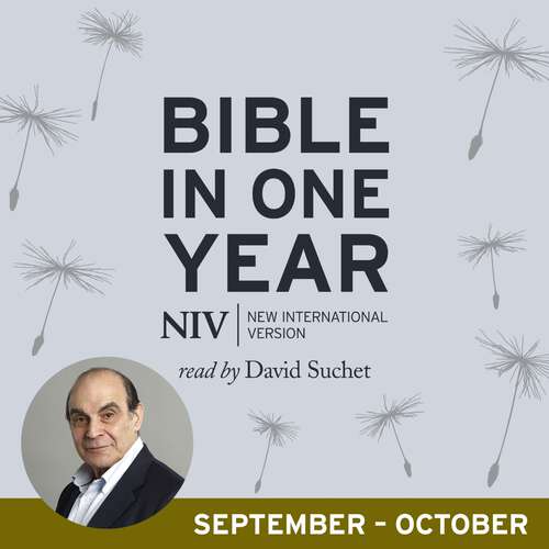 Book cover of NIV Audio Bible in One Year (Sept-Oct)