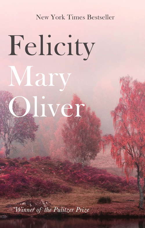 Book cover of Felicity: Poems