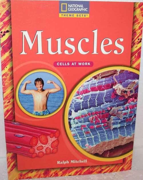 Book cover of Theme Sets: Muscles (Theme Sets Ser.)