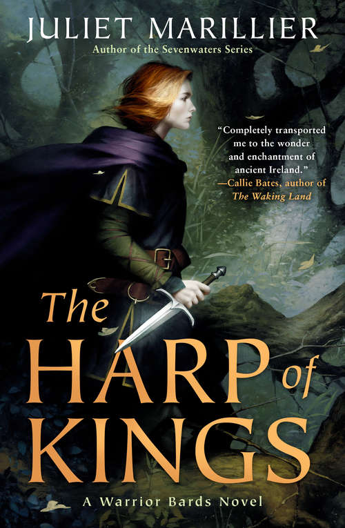 Book cover of The Harp of Kings (Warrior Bards #1)