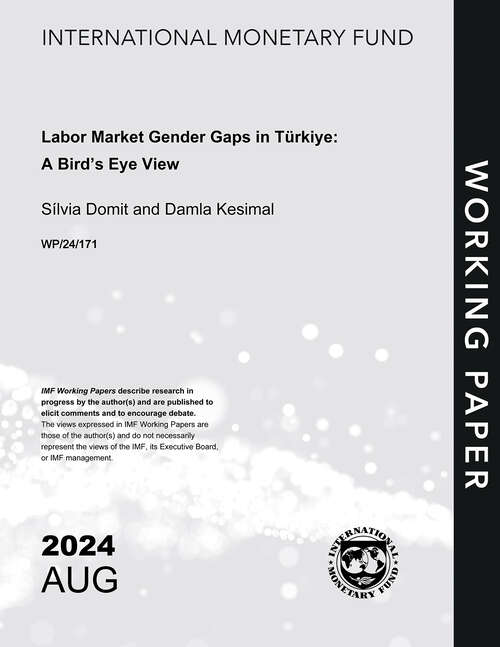 Book cover of Labor Market Gender Gaps in Türkiye: A Bird’s Eye View (Imf Working Papers)