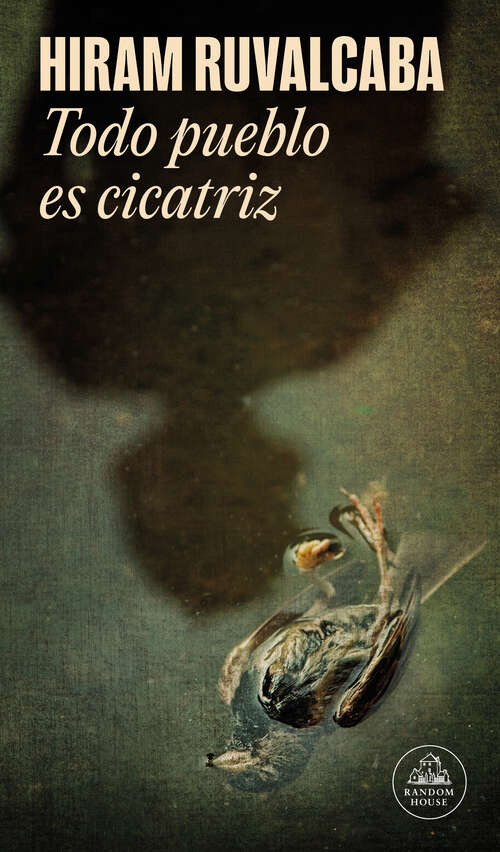 Book cover of Todo pueblo es cicatriz