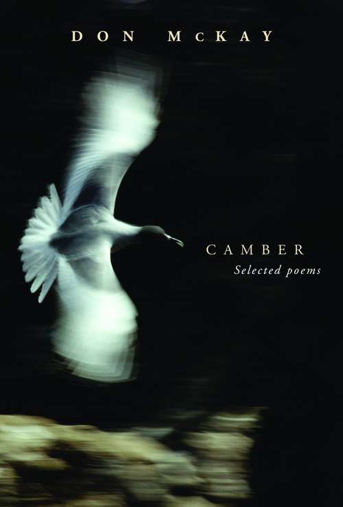Book cover of Camber
