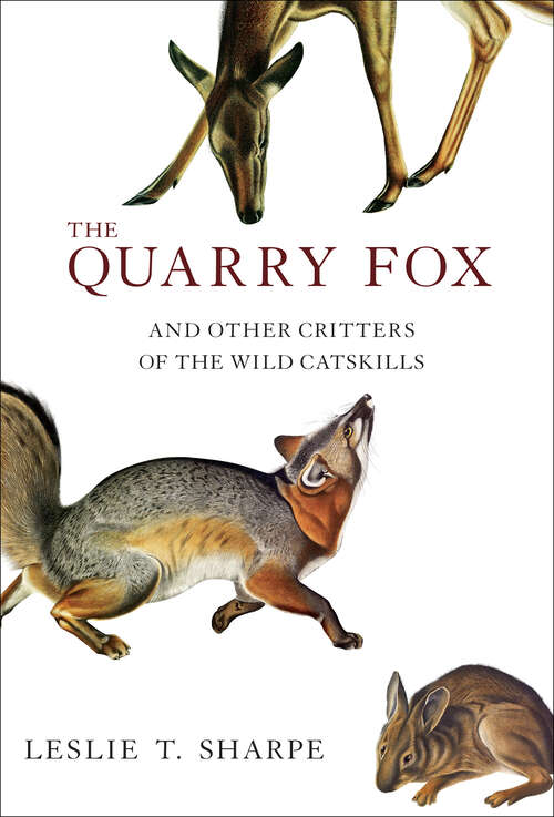 Book cover of The Quarry Fox: And Other Critters of the Wild Catskills