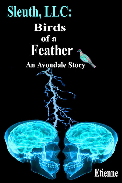 Book cover of Sleuth LLC: Birds Of A Feather: An Avpndale Story