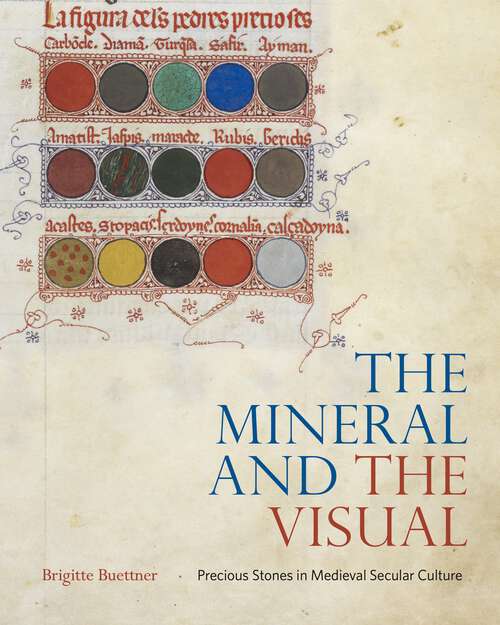 Book cover of The Mineral and the Visual: Precious Stones in Medieval Secular Culture