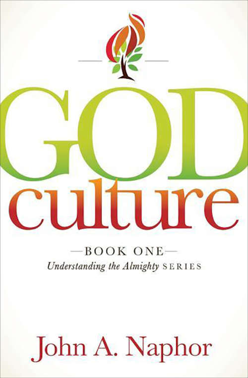 Book cover of God Culture: Book One Of Understanding The Almighty Series (Understanding the Almighty Series #1)