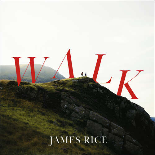 Book cover of Walk: A Novel