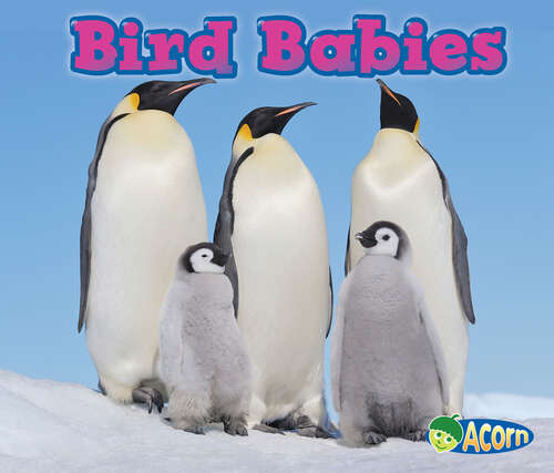 Book cover of Bird Babies (Animal Babies Ser.)