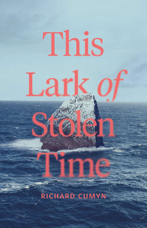 Book cover of This Lark of Stolen Time: A Novel