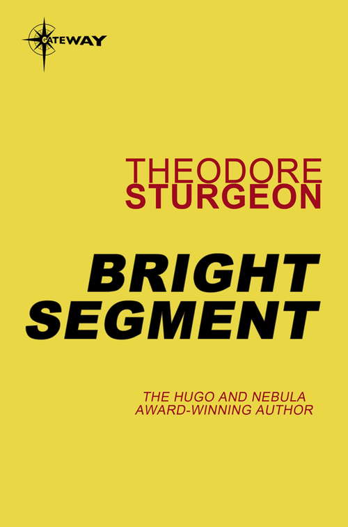 Book cover of Bright Segment