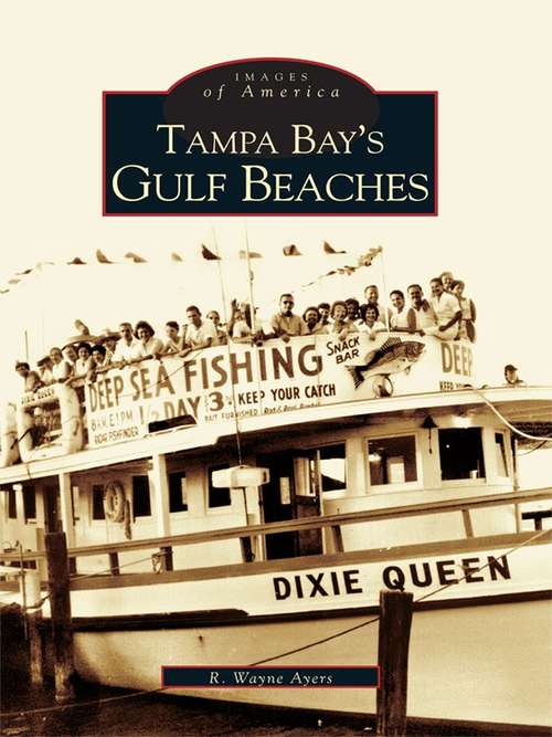 Book cover of Tampa Bay's Gulf Beaches