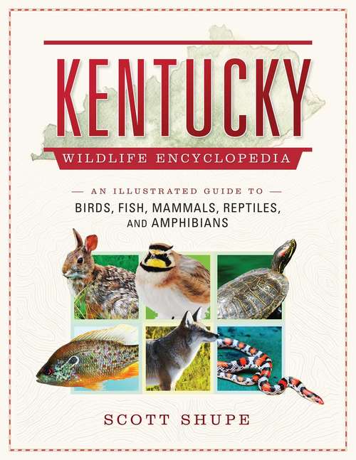 Book cover of Kentucky Wildlife Encyclopedia: An Illustrated Guide to Birds, Fish, Mammals, Reptiles, and Amphibians