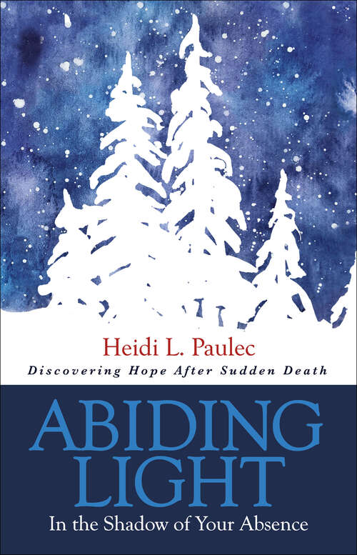 Book cover of Abiding Light: In the Shadow of Your Absence